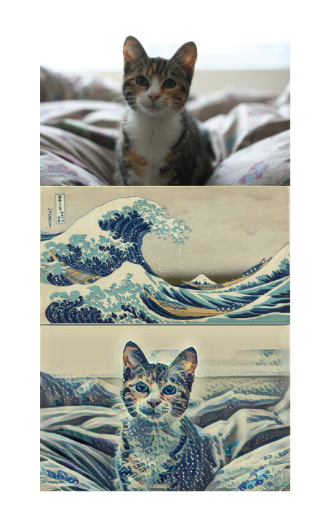 Style transfer on an image of a cat and waves.